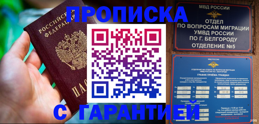 прописка для работы в Волоколамске